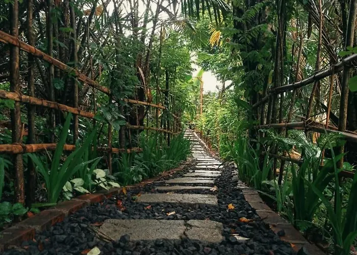 Villa Hidden Bamboo Village